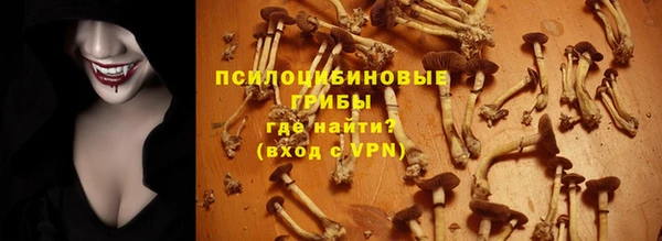 mdma Няндома