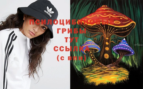 a pvp Алзамай