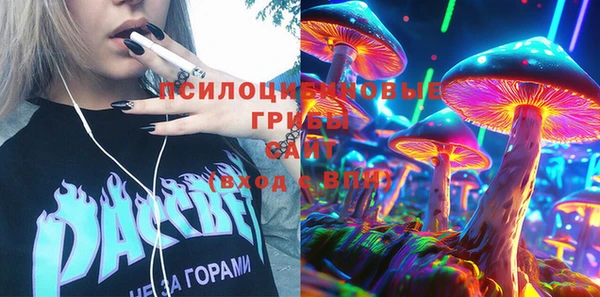 хмурый Алексеевка