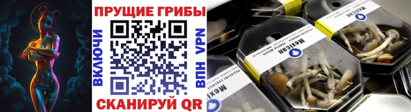 Псилоцибиновые грибы GOLDEN TEACHER  Орлов 